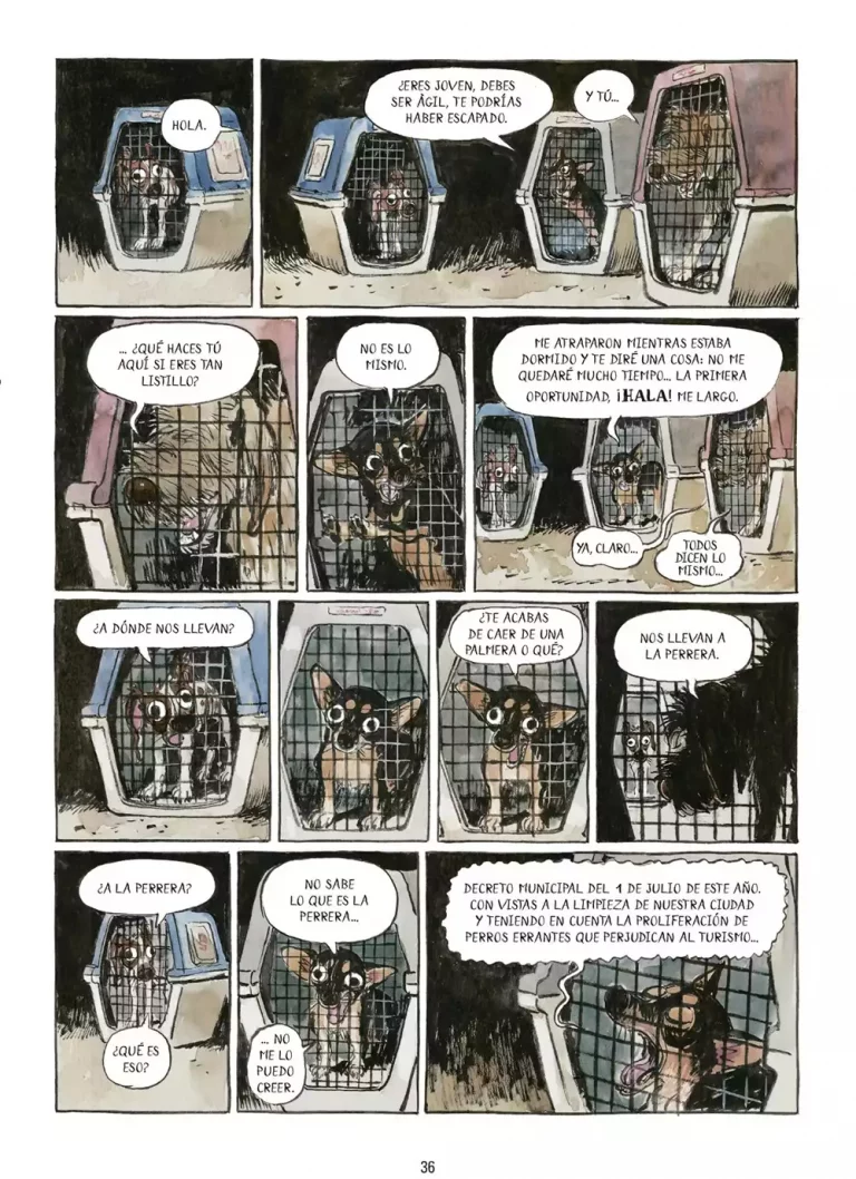 Página de Chucho feucho. Créditos: Nuevo Nueve