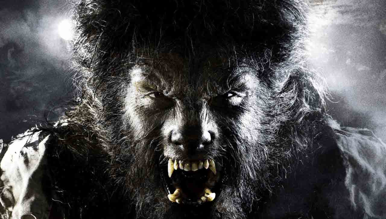Benicio del Toro como hombre lobo en El hombre lobo (2010) Créditos: Universal Pictures