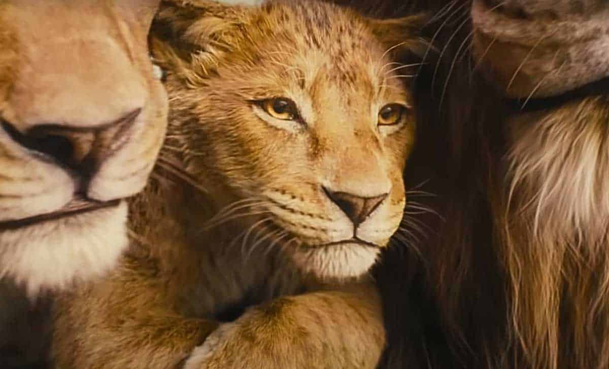 Fotograma de Mufasa. Créditos: Disney.