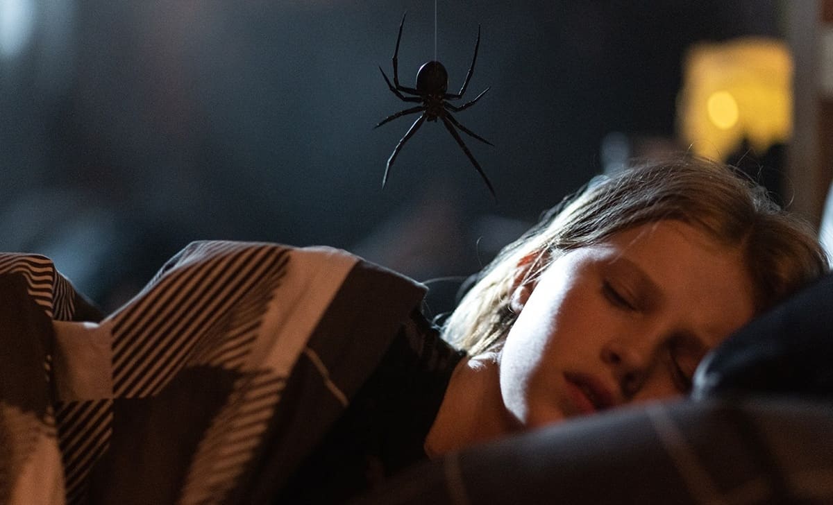 Fotograma de Sting: Araña asesina. Créditos: Diamond Films.