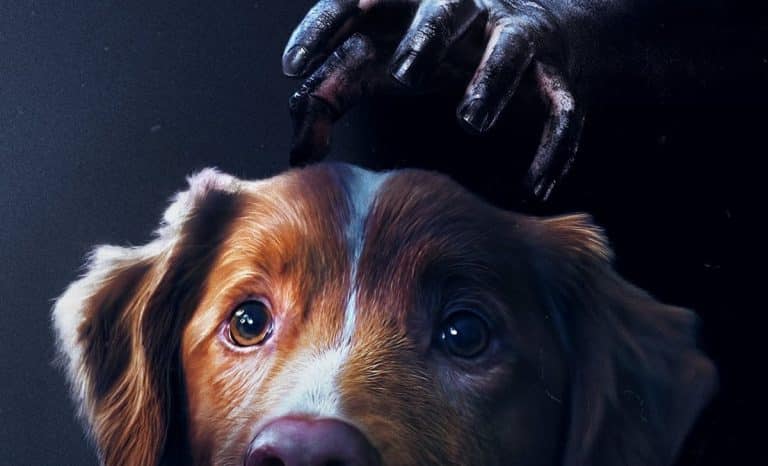Póster de Good boy. Créditos: Filmin.