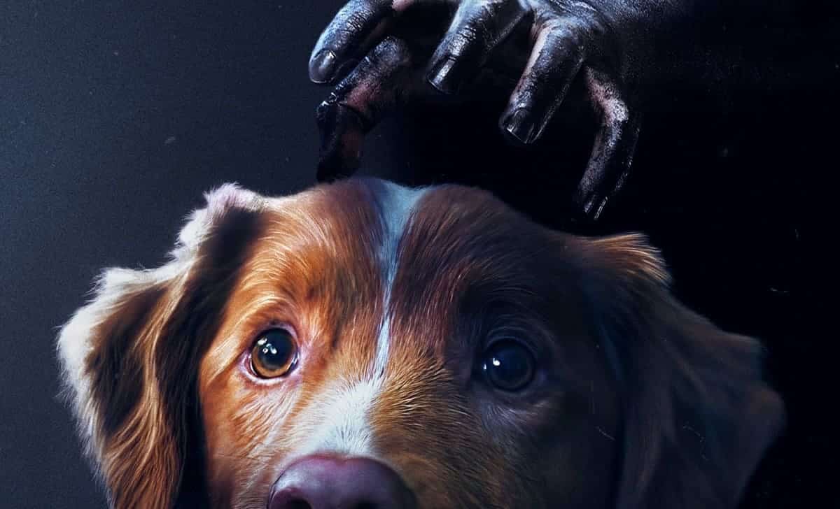 Póster de Good boy. Créditos: Filmin.